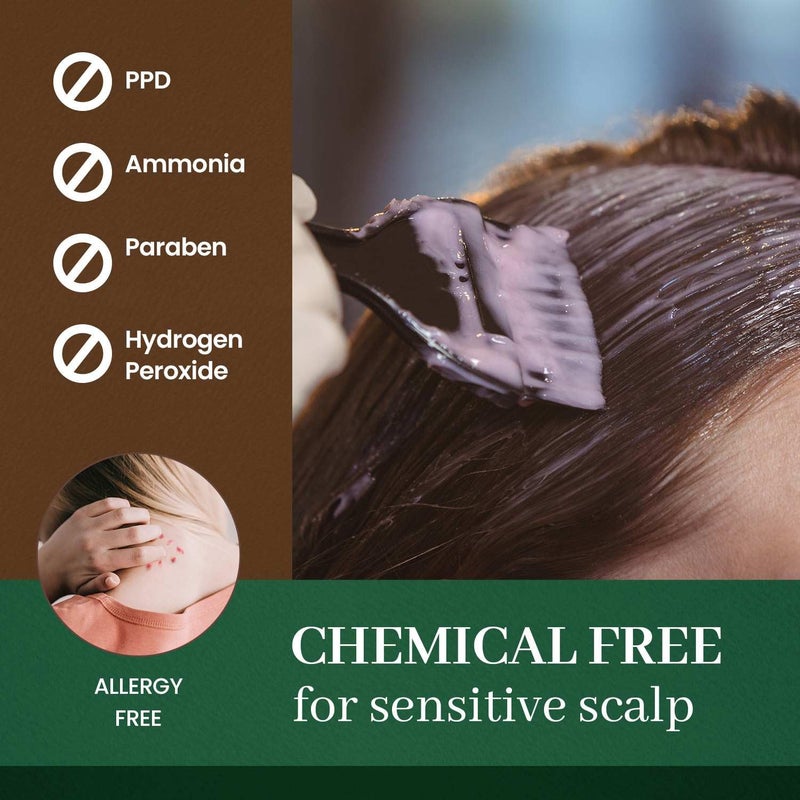 Herb Speedy Dongsung Herb Speedy Color Cream(Dark Brown) - Korean Herbal Vegan Hair Dye, PPD-Free, Ammonia-Free, Hypoallergenic - 100% Gray Coverage, Odorless, Dermatologically Tested, Quick 20-Minute Application - Image 3
